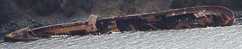 The SS Ilex